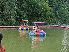 -杭州少年儿童公园