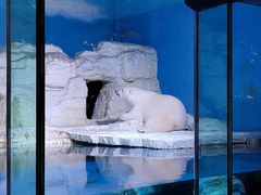 -大连老虎滩海洋公园