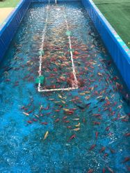 -萌宠亲子动物乐园(槐房万达店)