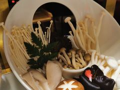 菌类拼盘-洪氏嗨捞·猪肚鸡火锅(阳光天地店)