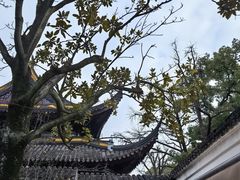 -西园戒幢律寺
