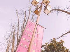 -法门文化景区