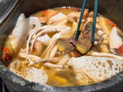 -芸山季·云南野生菌火锅(宝能环球汇店)