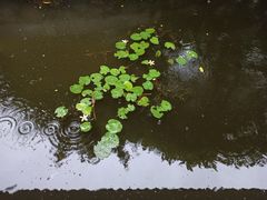 -荔湾湖公园