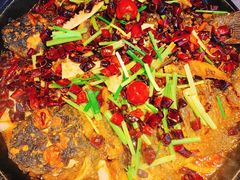 -老板恋上鱼(恒隆广场店)