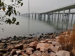 -深圳湾公园(南山区)