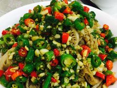 -辣四方新派川菜