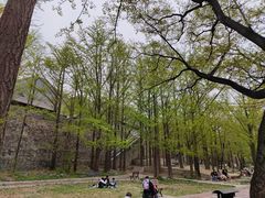 -阳台山自然风景区