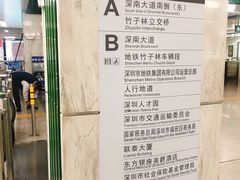 -竹子林(地铁站)