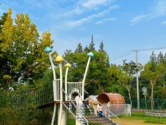 -前小桔亲子创意农场·草莓采摘·露营烧烤