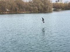 -济南大明湖景区