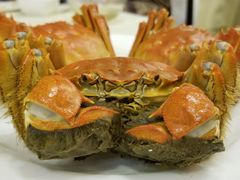 -王宝和酒家(黄浦店)