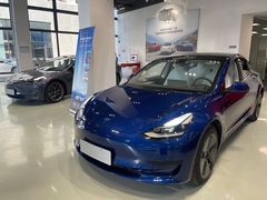 -TESLA 特斯拉(深圳观澜特斯拉直营钣喷中心)