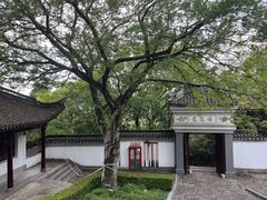 -上海佘山国家森林公园天马山园