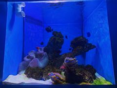 -多彩贵州城极地海洋世界