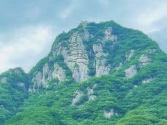 -陕西省红河谷森林公园