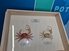 -中国湿地博物馆