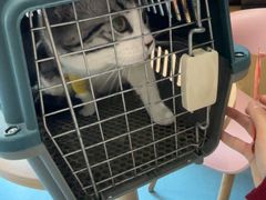 -宠颐生宠物医院·异宠猫科内科·诊疗中心宠巢店