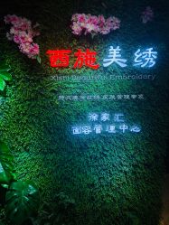 -西施无菌半永久纹绣眉眼影唇轻增发纹发际线