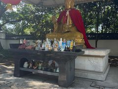 -上海佘山国家森林公园天马山园