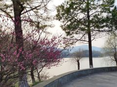 -江南大学(蠡湖校区)