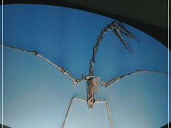 -香港科学馆