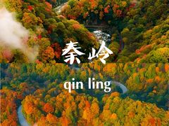 -秦岭风景区