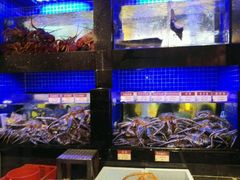 -陶陶居海鲜酒家(新马路店)