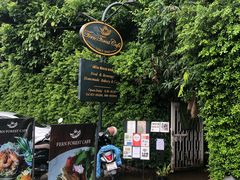 -Fern Forest Cafe