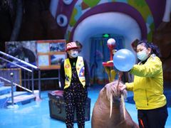 -烟台海昌鲸鲨海洋公园