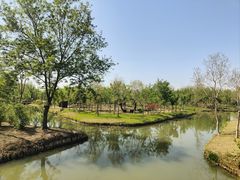 -溱湖国家湿地公园