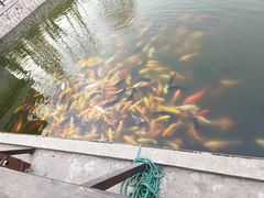 -清明上河园