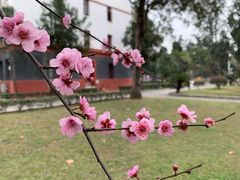 -四川大学(望江校区)