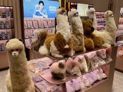 -国药中服免税(北京坊店)