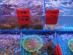 -洲晓鲜·舟山海鲜大排档(朱家尖风景区店)