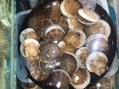 -港畔赶海蒸汽海鲜烧烤自助(仙螺岛店)