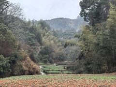 -新安江山水画廊风景区