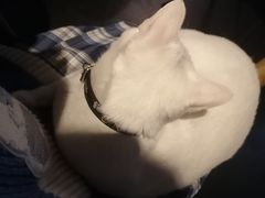 -Doors独立剧情密室(东门分店)