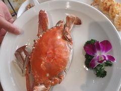 -望海湾鱼头泡饼·天津菜(空港店)