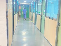 -半岛宠物医院24小时(科华中路店)