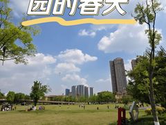 -都江堰景区