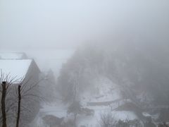iphone_upload_pic-大明山自然探索公园