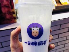 -一只酸奶牛(八一路店)