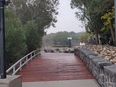-上海吴淞炮台湾国家湿地公园