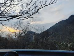 -杨家堂村