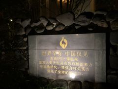 -张家港金凤凰度假村温泉