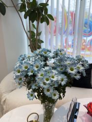 -WENDY·温迪皮肤管理