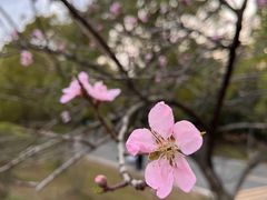 -南京市江宁方山