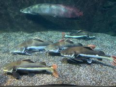 -太平洋海底世界