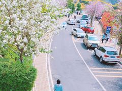 -小南山公园
